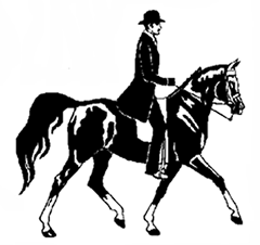 A man riding a horse